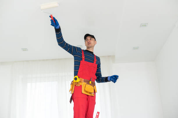 Best Water-Damaged Drywall Repair  in Ke Providence, LA